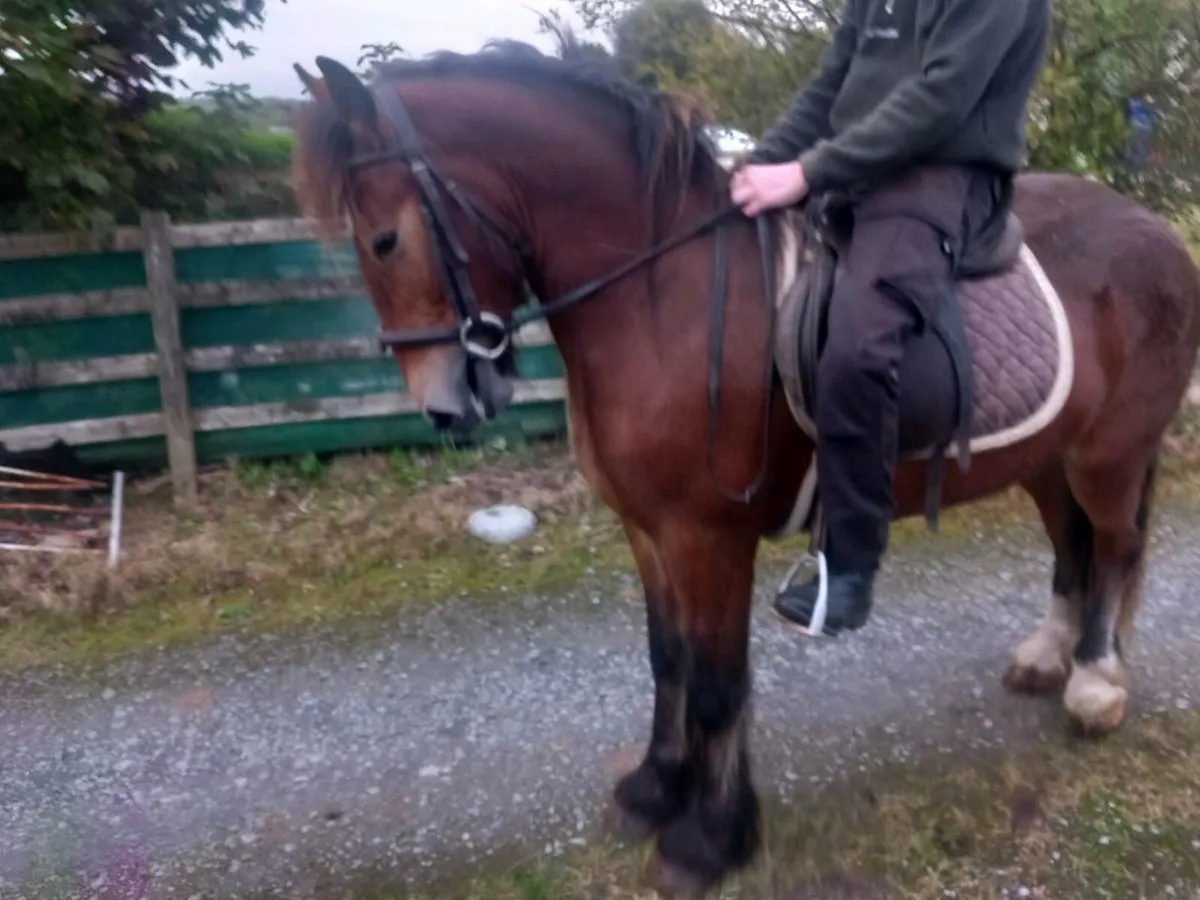 Smashing cob - Image 3