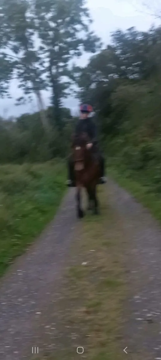 Smashing cob - Image 4
