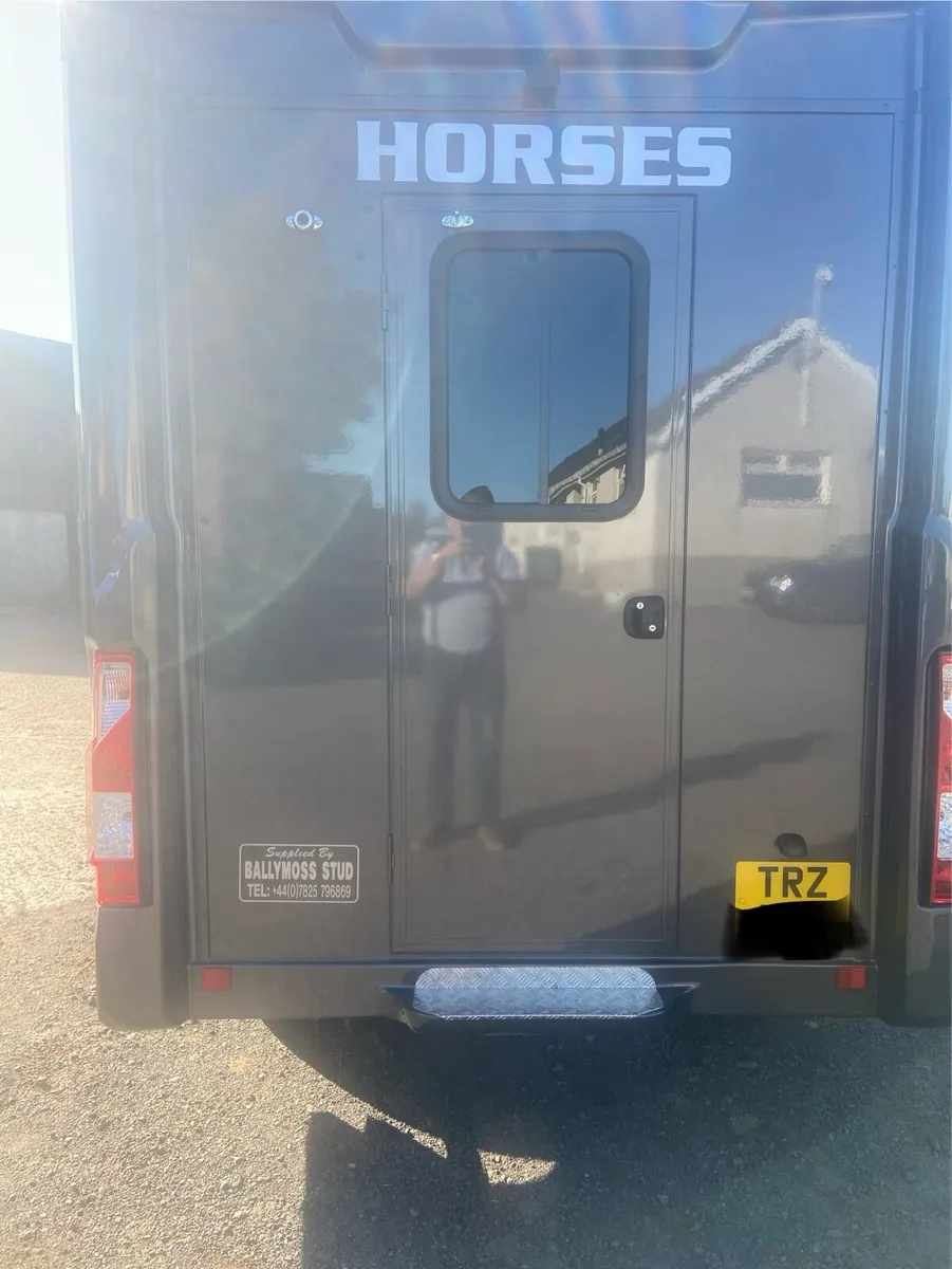 New Coachbuilt Regent 2 Stall Horsebox - Image 4