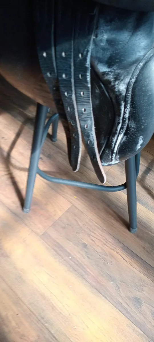 Horse riding saddle, bridle, stirrups and stirrup - Image 2