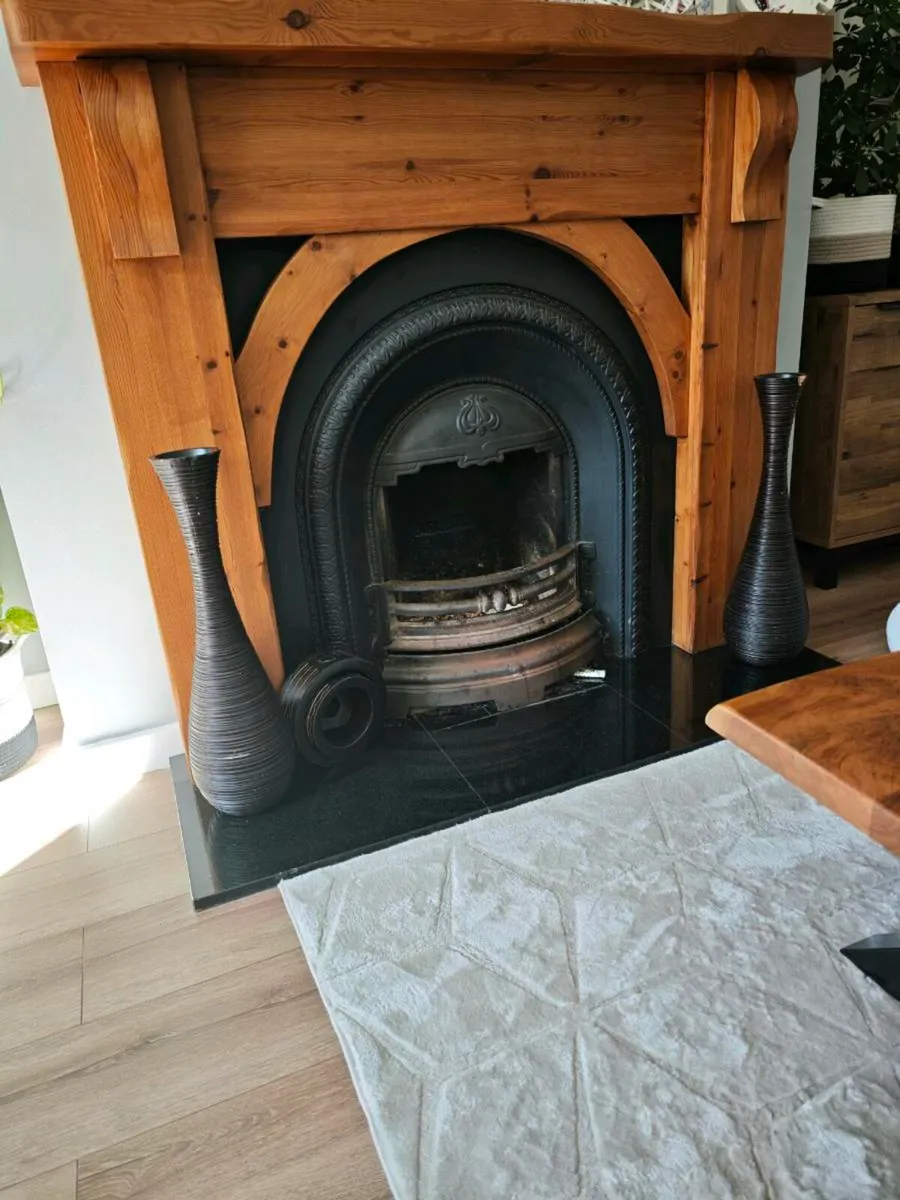 Fireplace insert