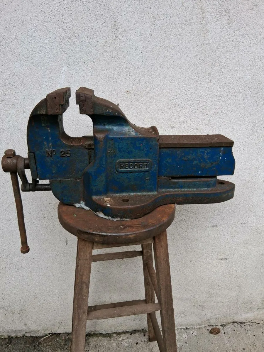 Record no 25 vice - Image 1