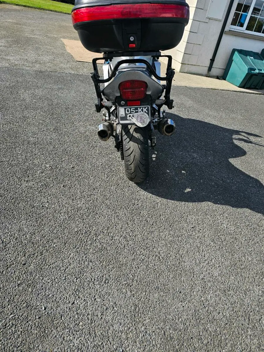 Honda blackbird - Image 2