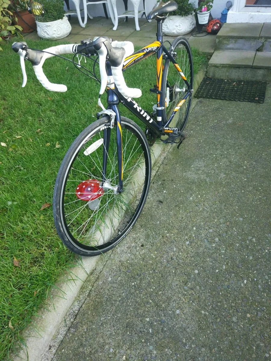 Bike - Image 2