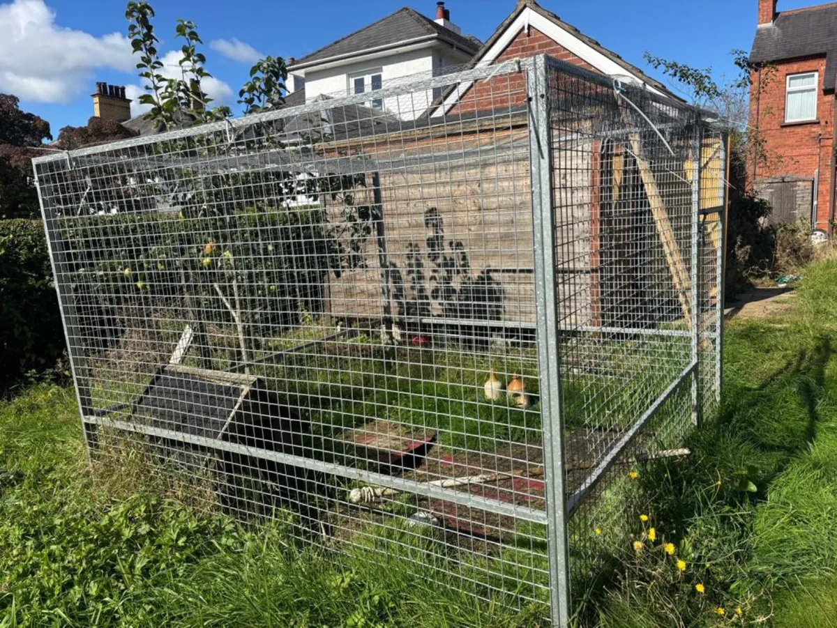 Galvanised Animal Enclosure **Online Auction** - Image 4