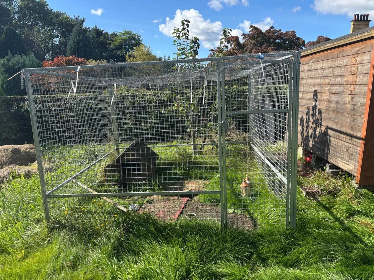 Galvanised Animal Enclosure **Online Auction** - Image 1