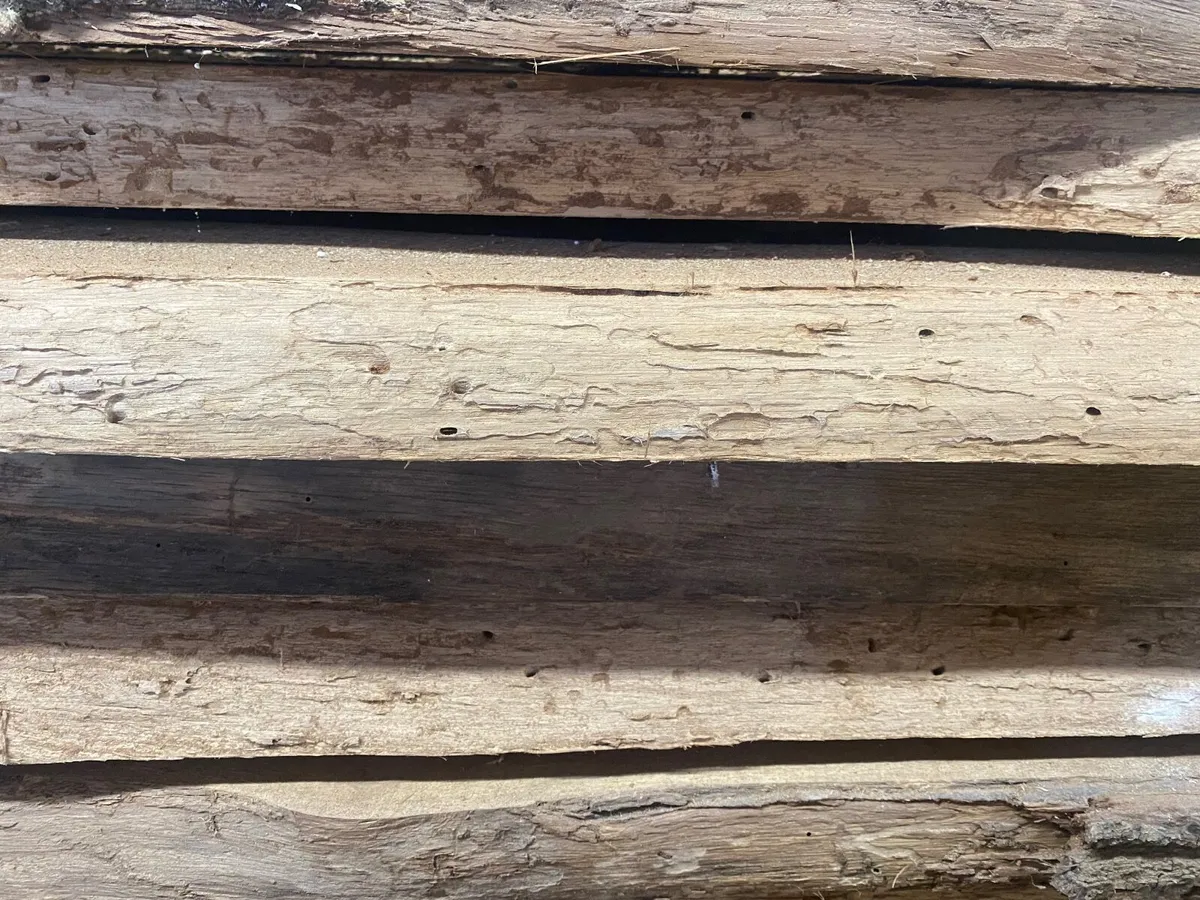 Oak timber (single saw boards - Image 2