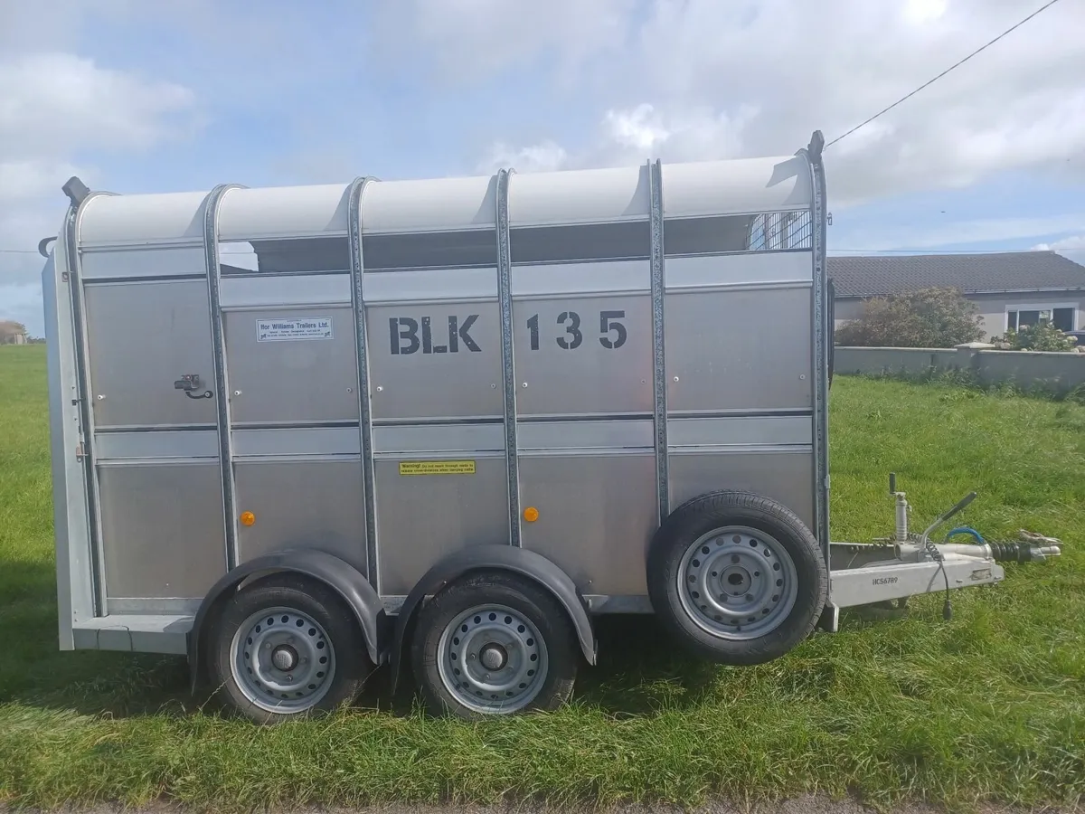 Ifor Williams Cattle Trailer 10 X 5ft 9 - Image 2