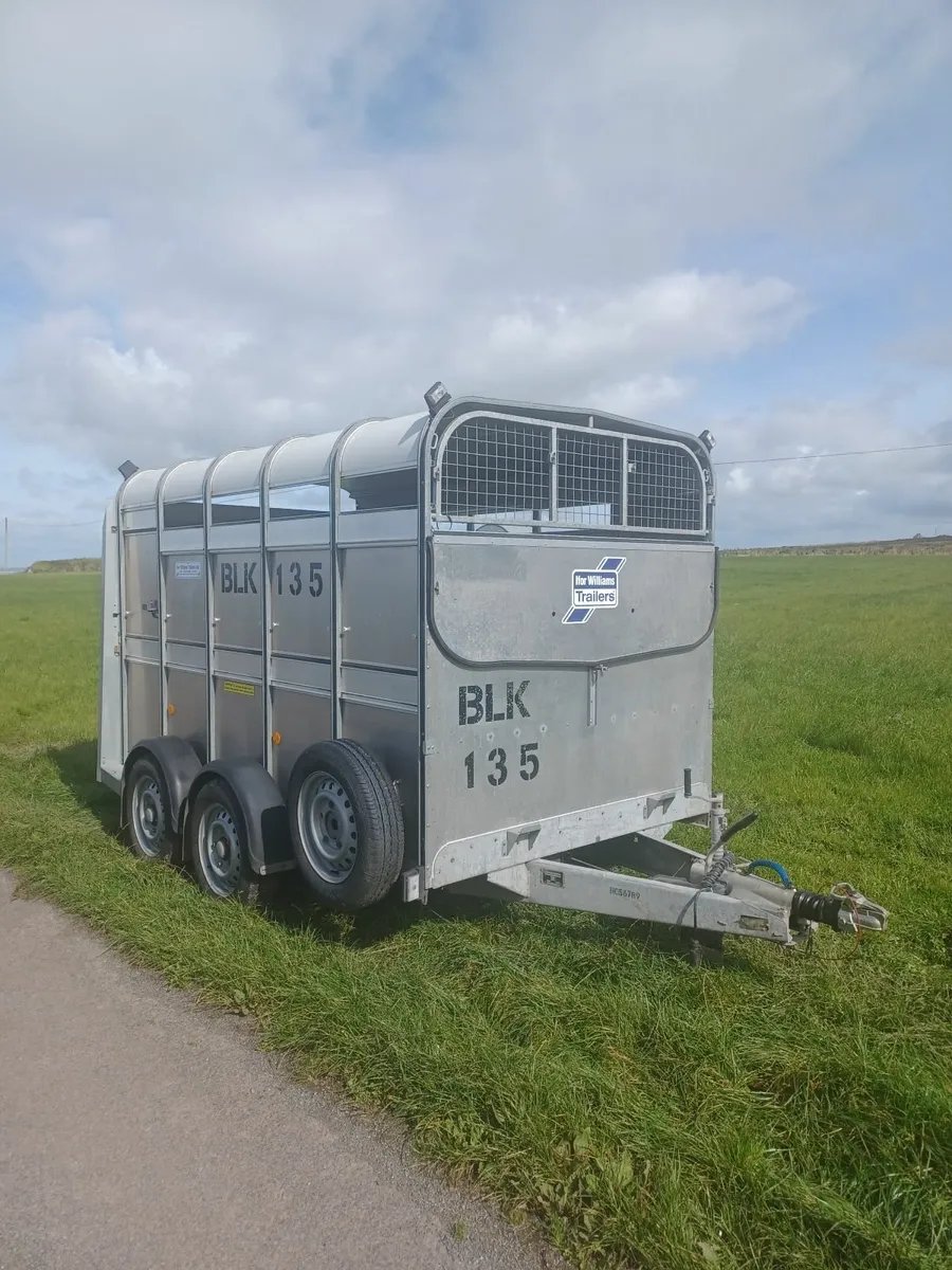 Ifor Williams Cattle Trailer 10 X 5ft 9 - Image 3