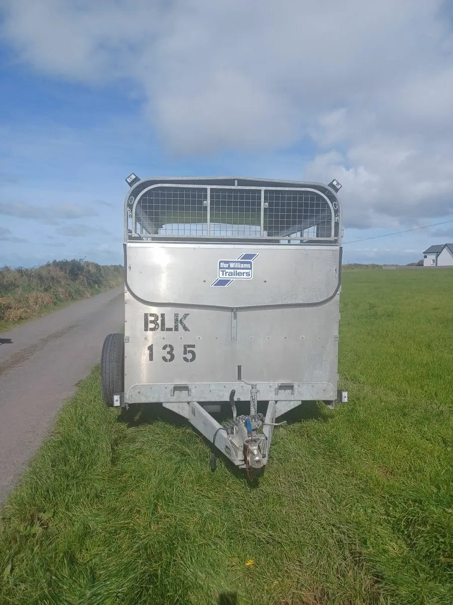 Ifor Williams Cattle Trailer 10 X 5ft 9 - Image 4