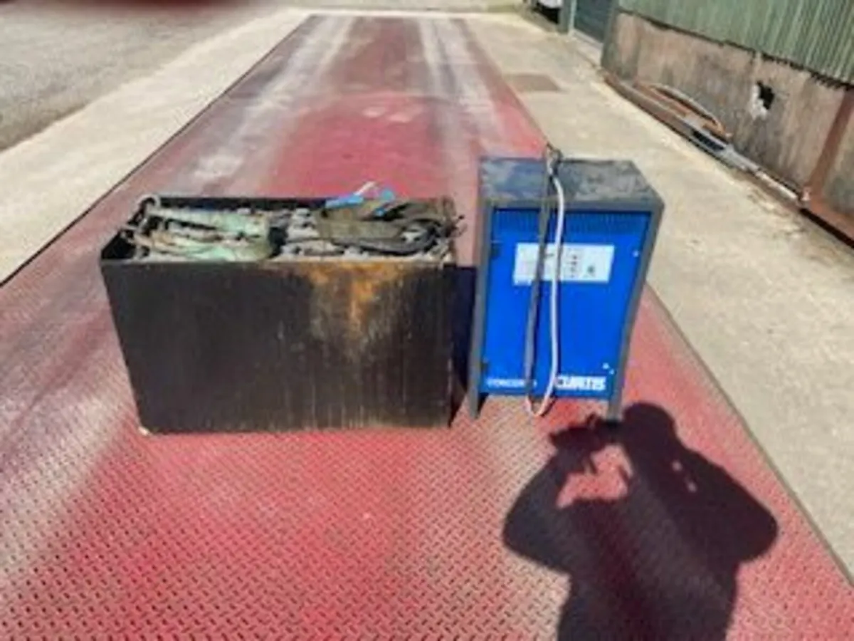 Batteries and Charger - Image 1