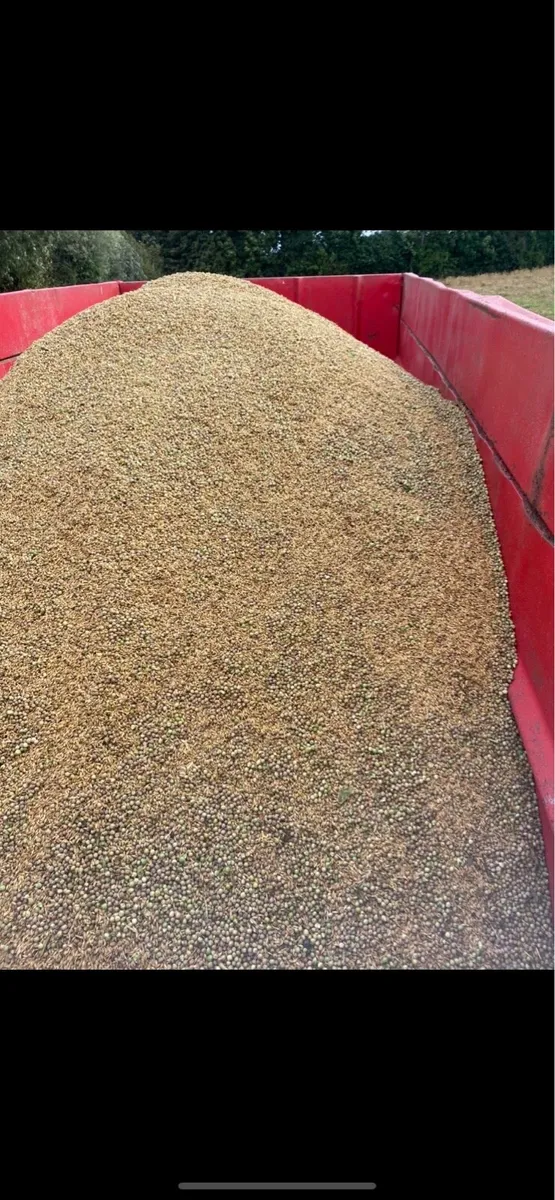 Organic combi crop - Image 2
