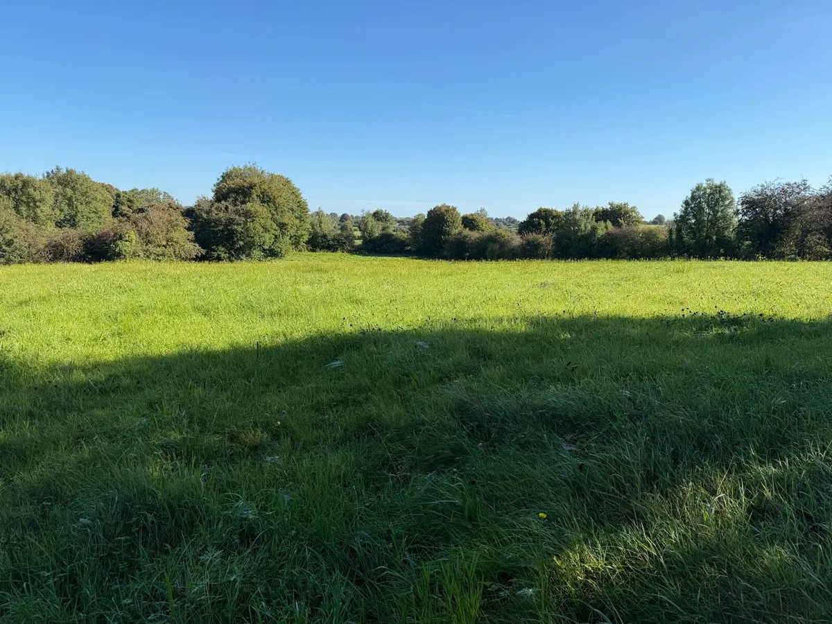 Land to let