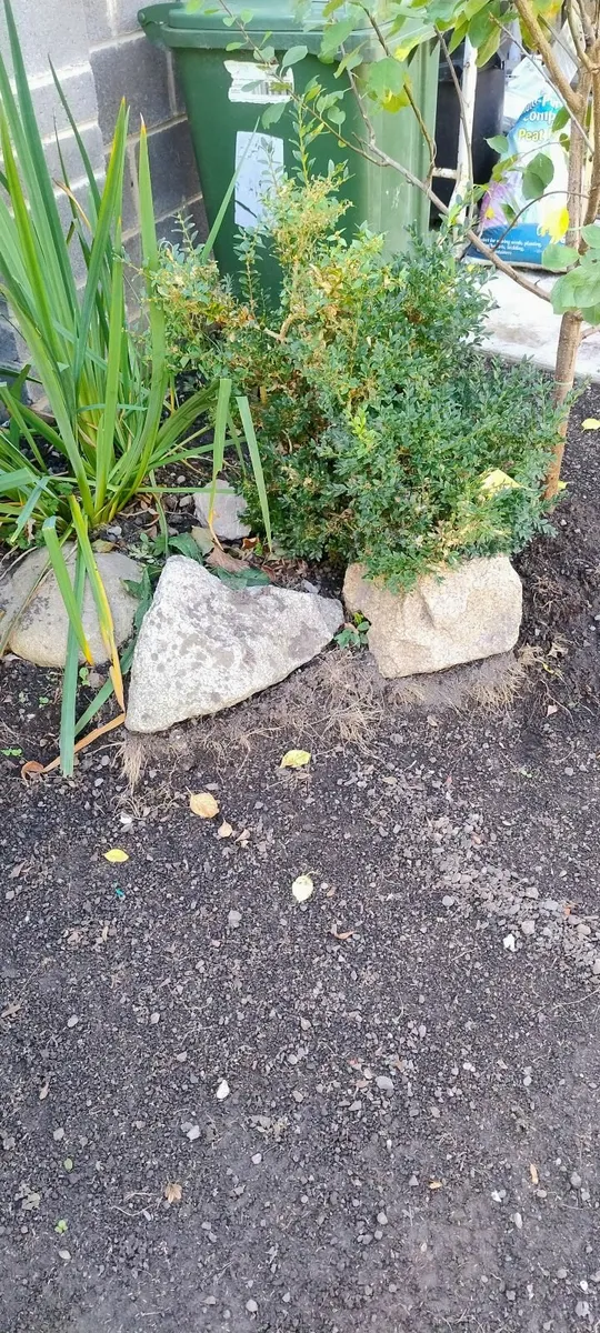 Zen garden stones - Image 3