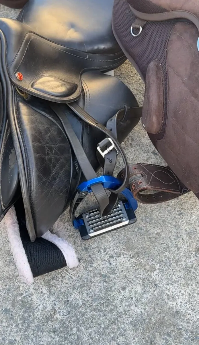 Saddles and Bridle - Image 3