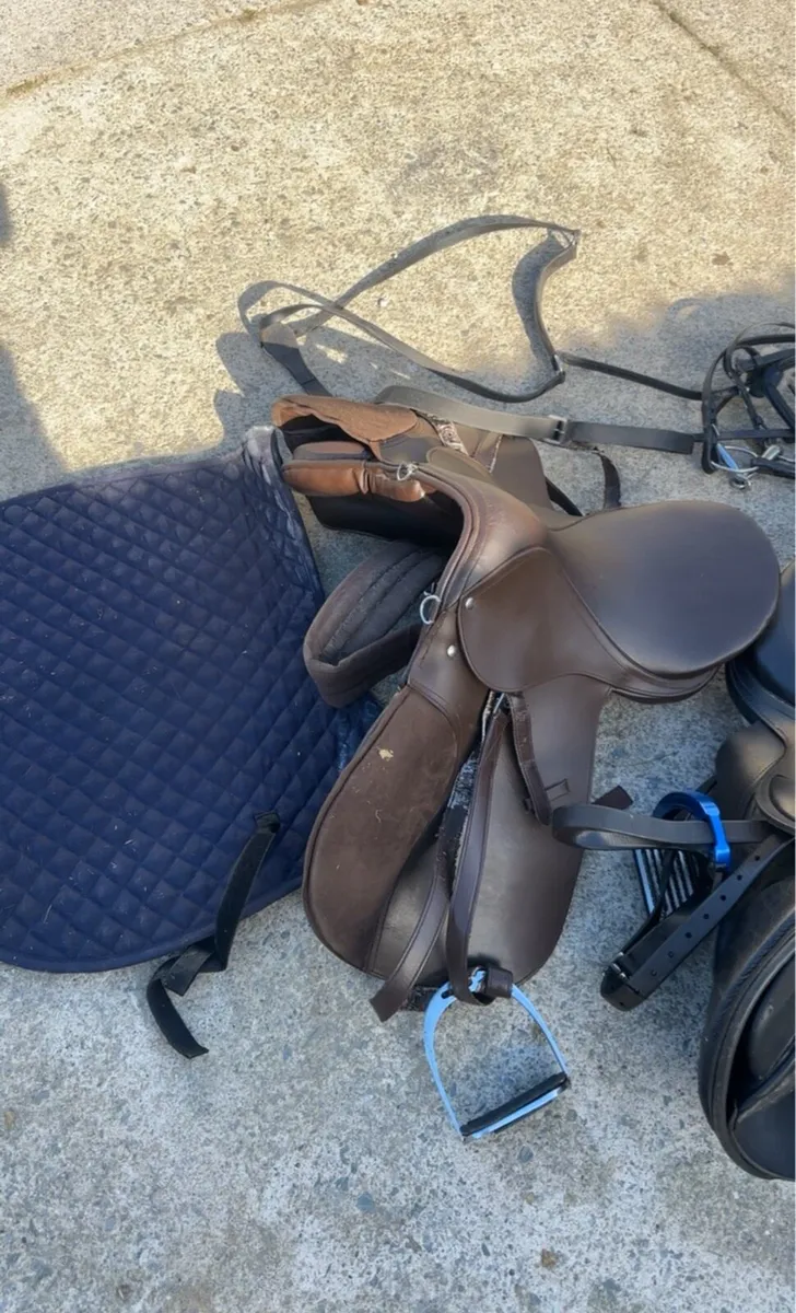 Saddles and Bridle - Image 4
