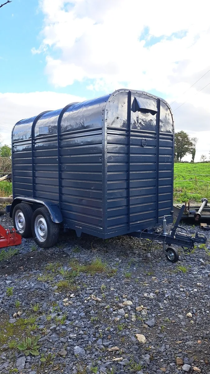 9x5 Cattle Trailer - Image 3