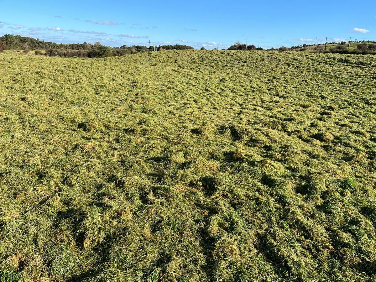 Silage
