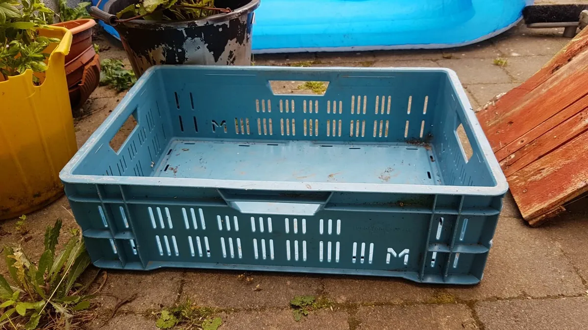 plastic crates 5 euro each - Image 2