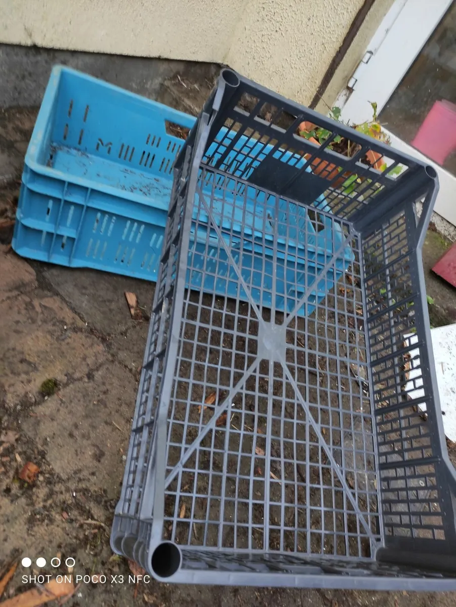 plastic crates 5 euro each - Image 1