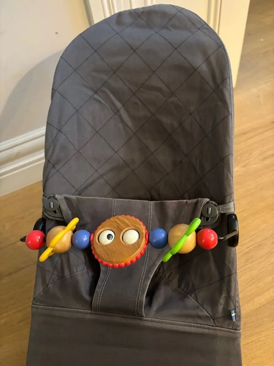 Baby Bjorn Bouncer - Image 1