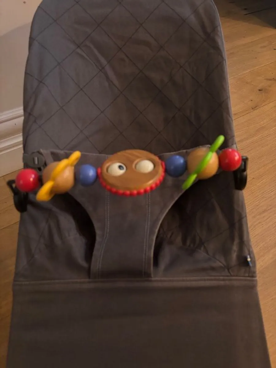 Baby Bjorn Bouncer - Image 4