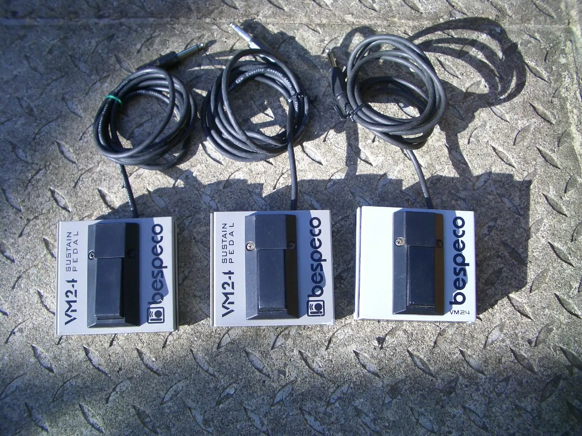 BESPECO START-STOP-SUSTAIN PEDALS - Image 1