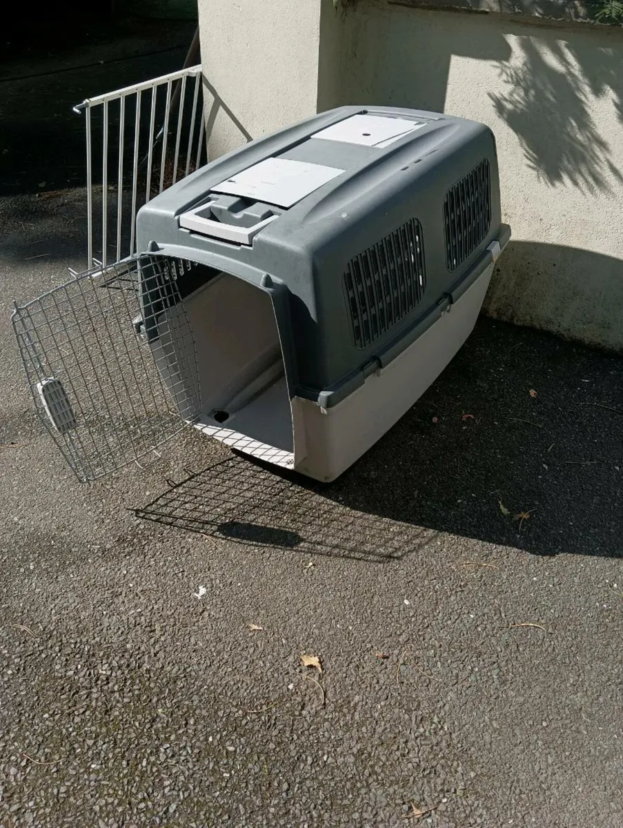 Dog box out door or indoors,25 Euro - Image 1
