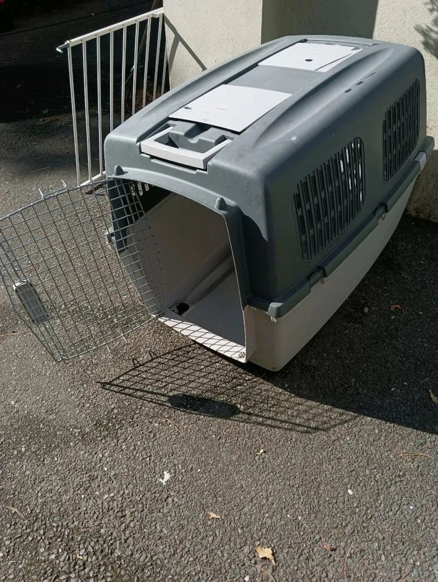 Dog box out door or indoors,25 Euro - Image 2