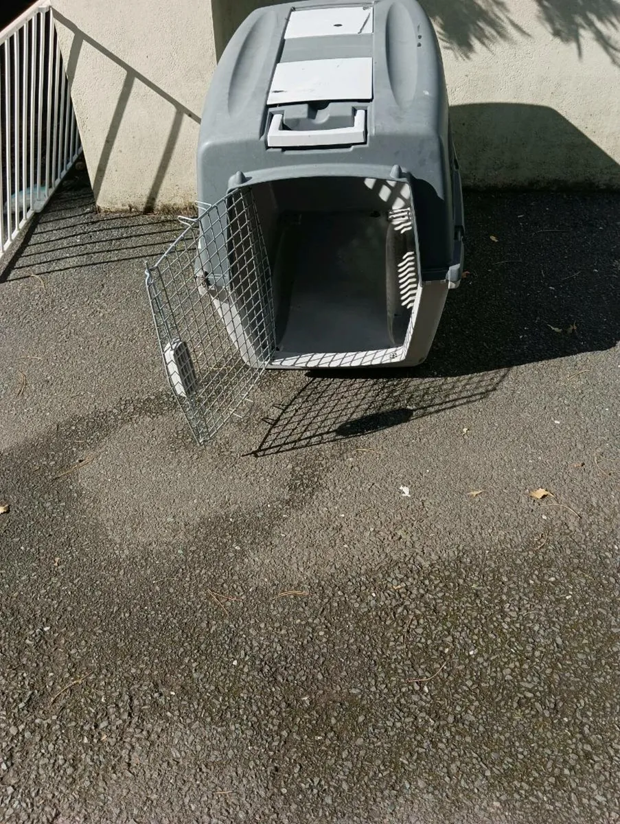 Dog box out door or indoors,25 Euro - Image 3