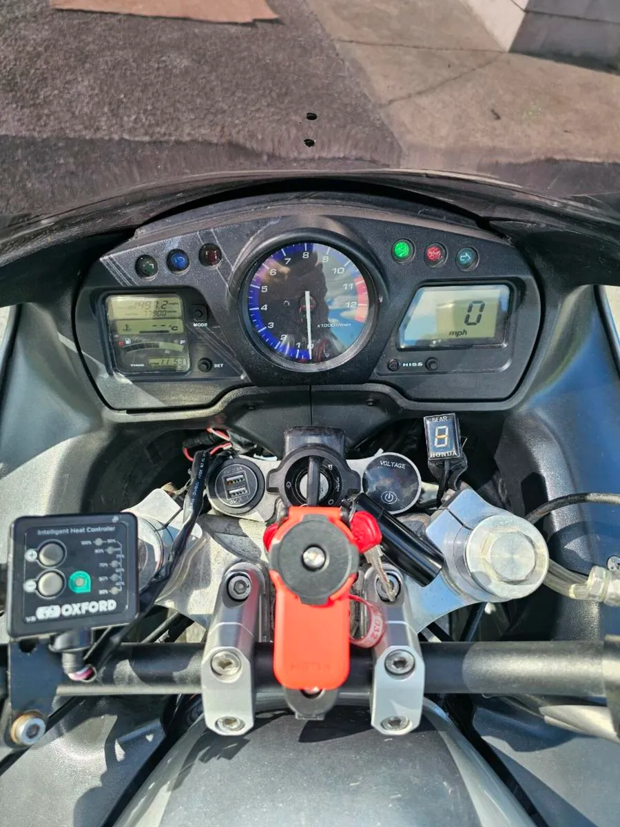 Honda blackbird - Image 4