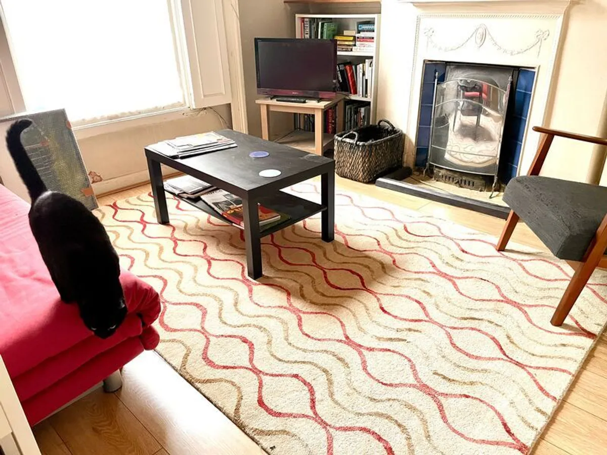 Designer Rug