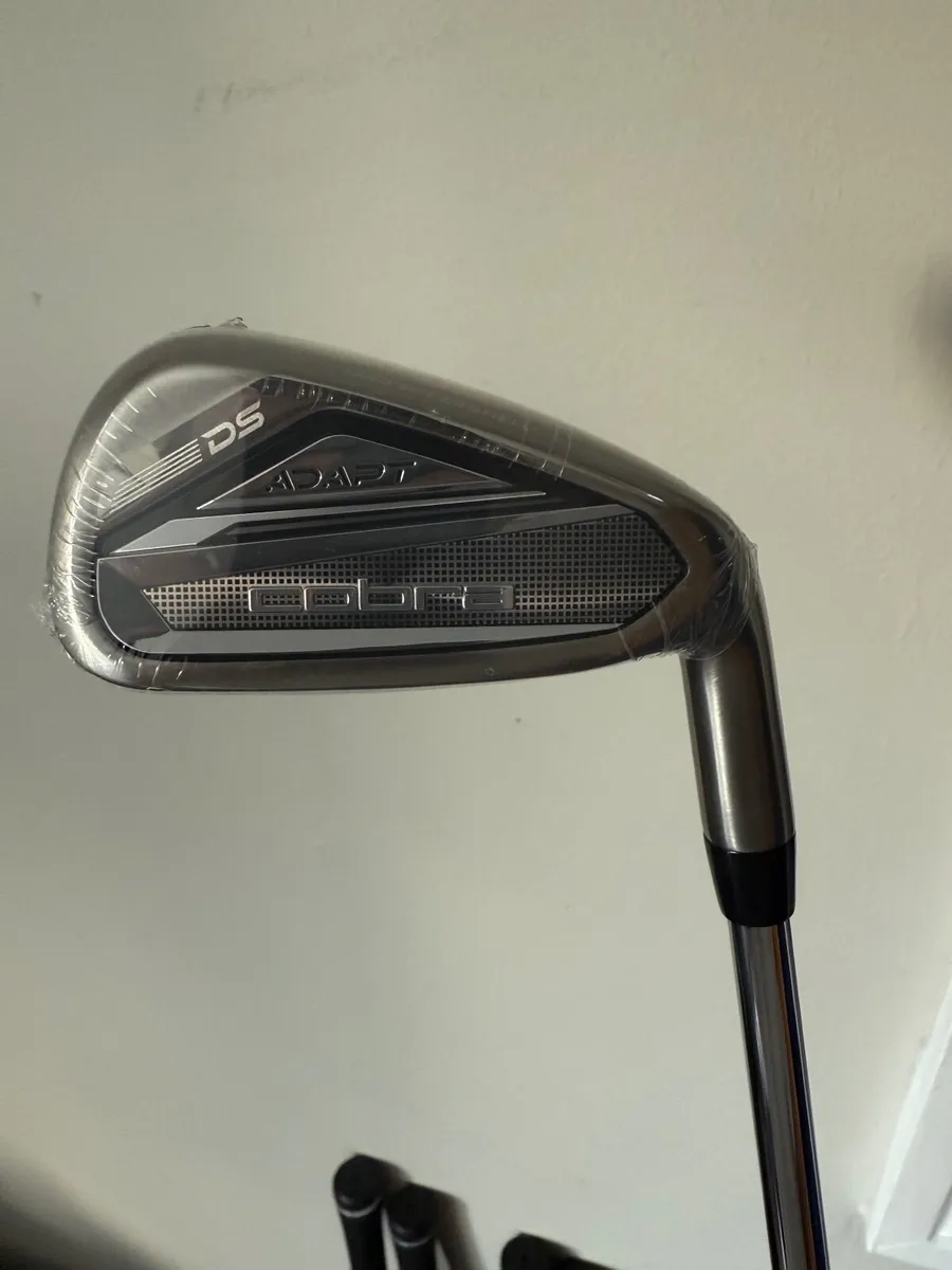 Golf club - Image 1