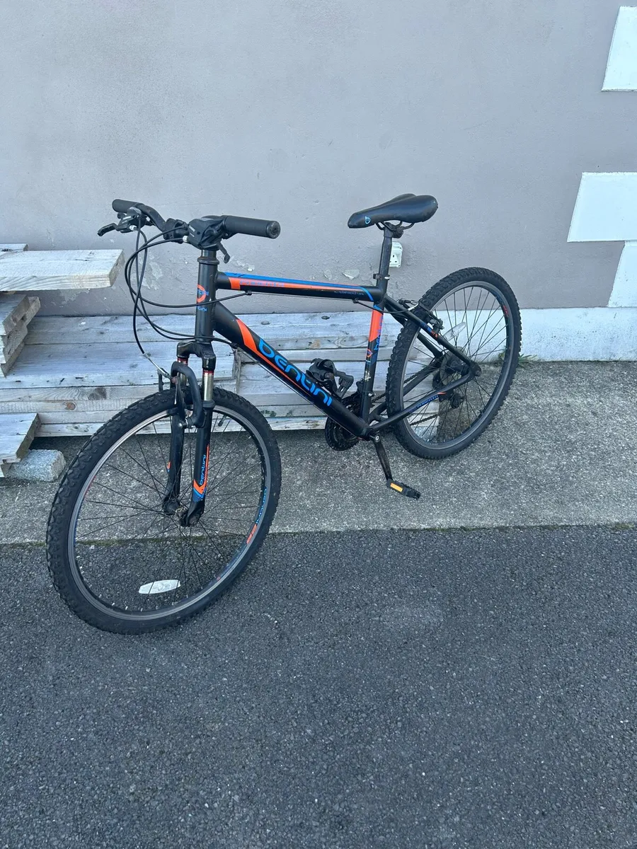 Mountain bike - Image 1