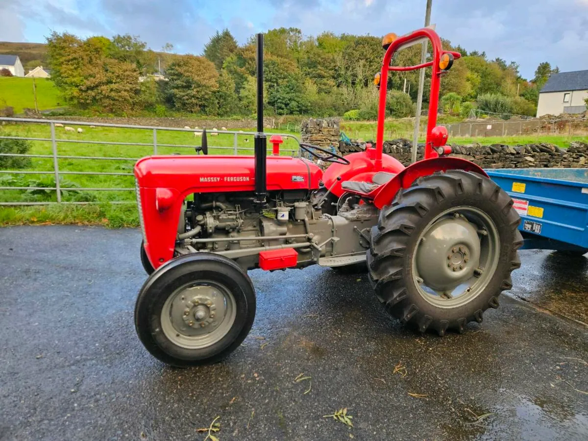 Massey ferguson 35 and trailer - Image 1
