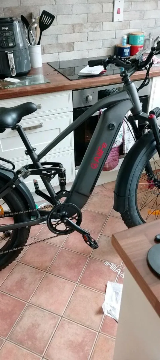 Ebike - Image 3