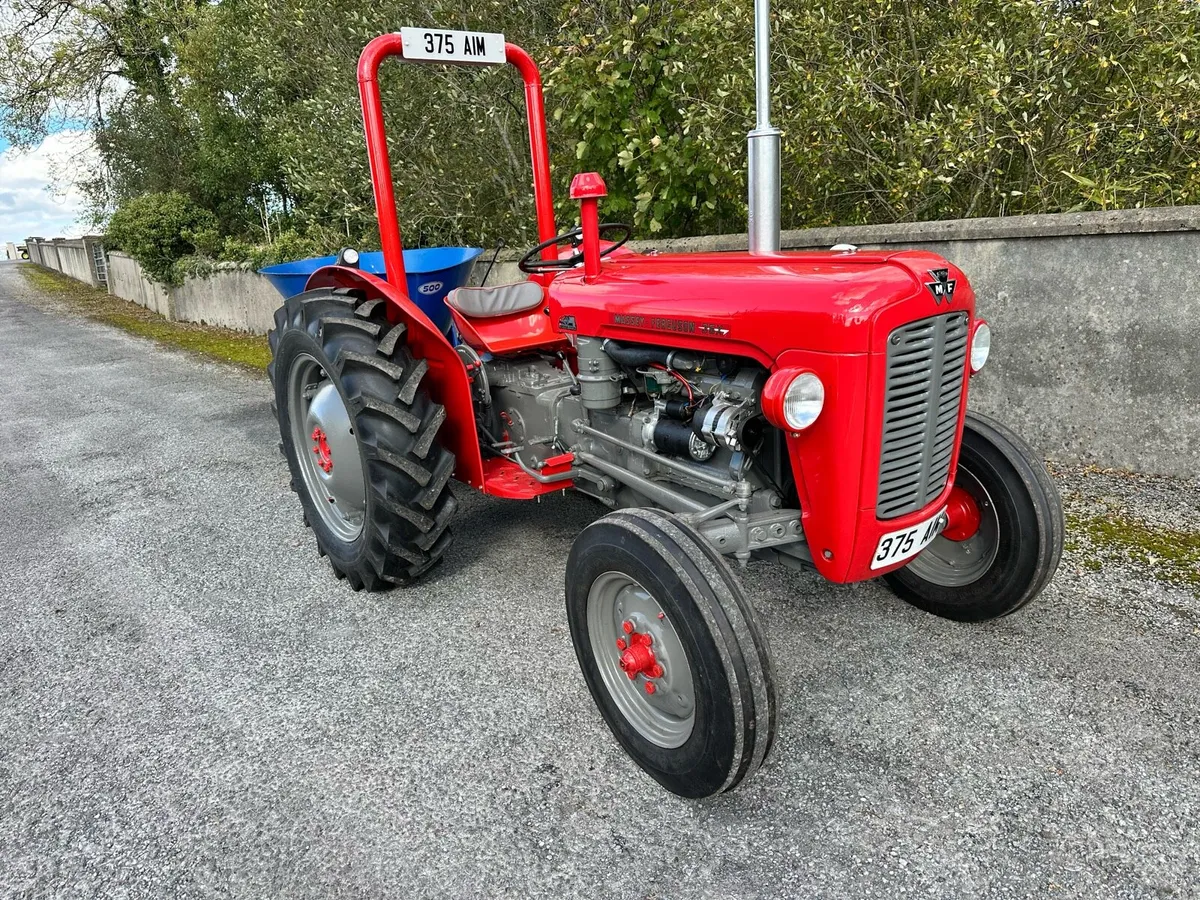 Massey Ferguson - Image 2