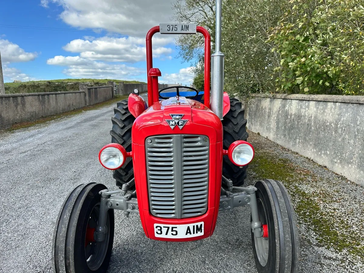 Massey Ferguson - Image 4