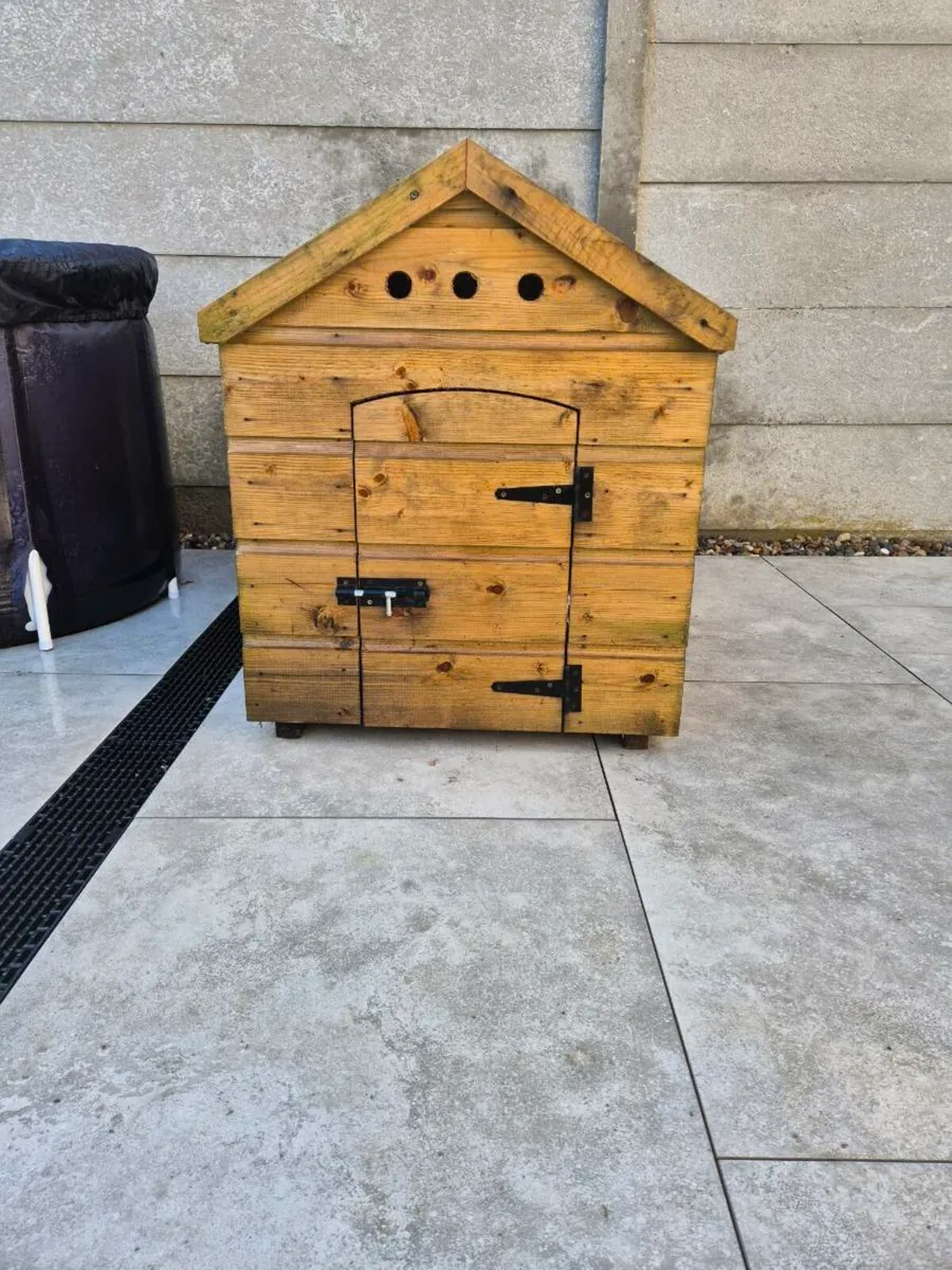 Dog House - Image 1