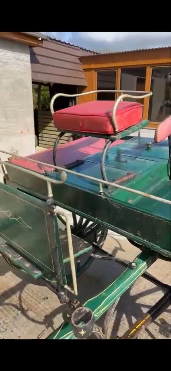 horse side car - Image 4