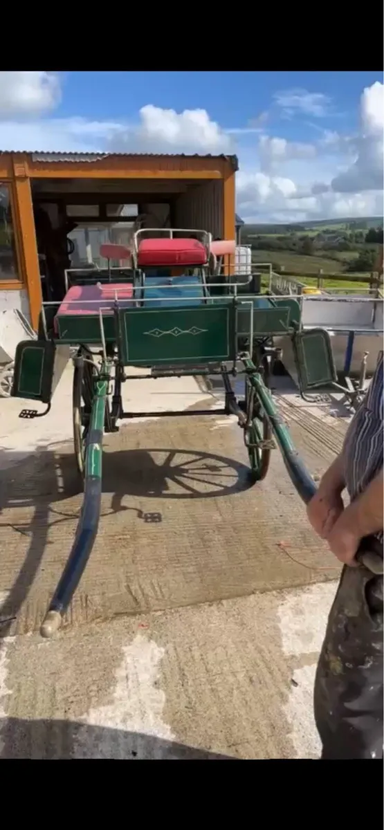 horse side car - Image 1