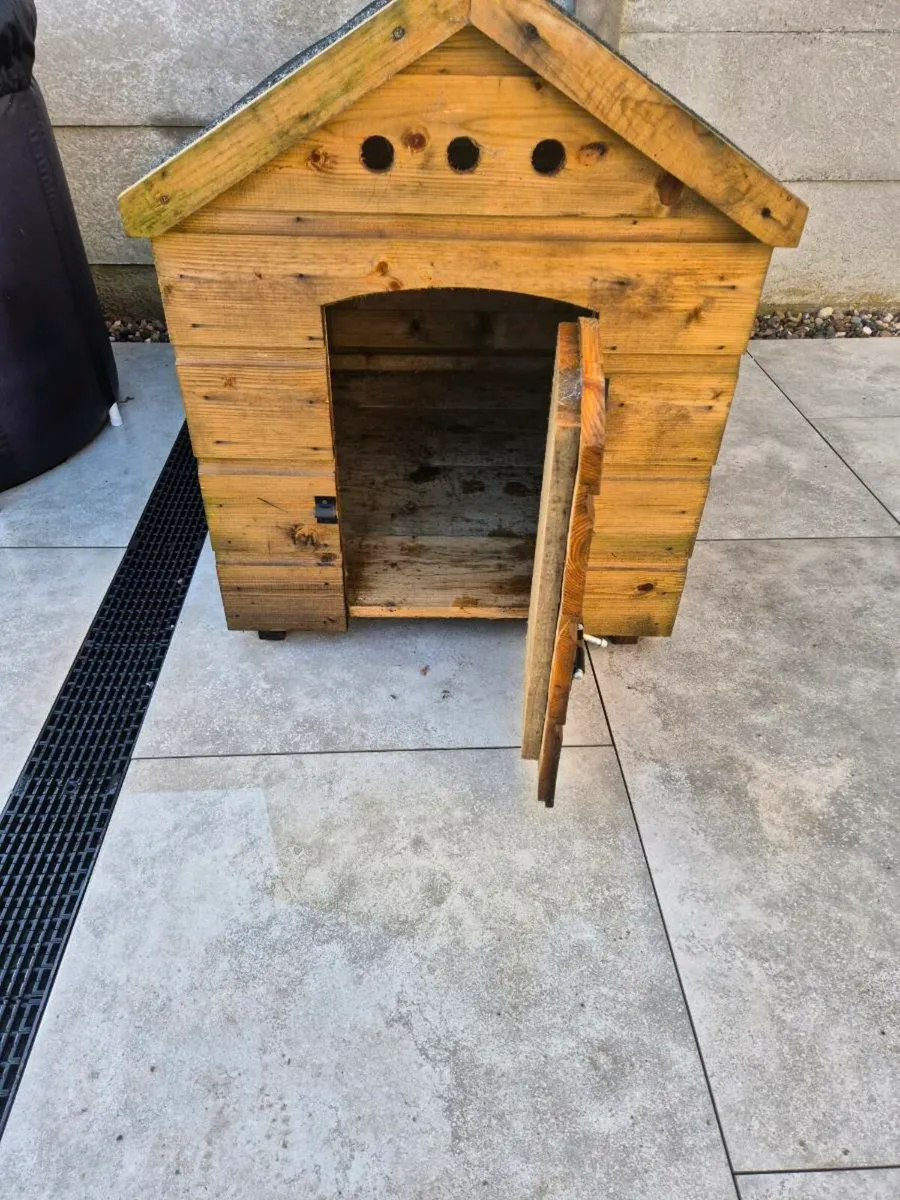 Dog House - Image 4
