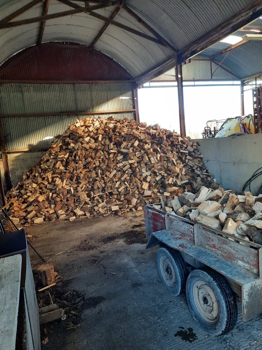 Firewood - Image 2