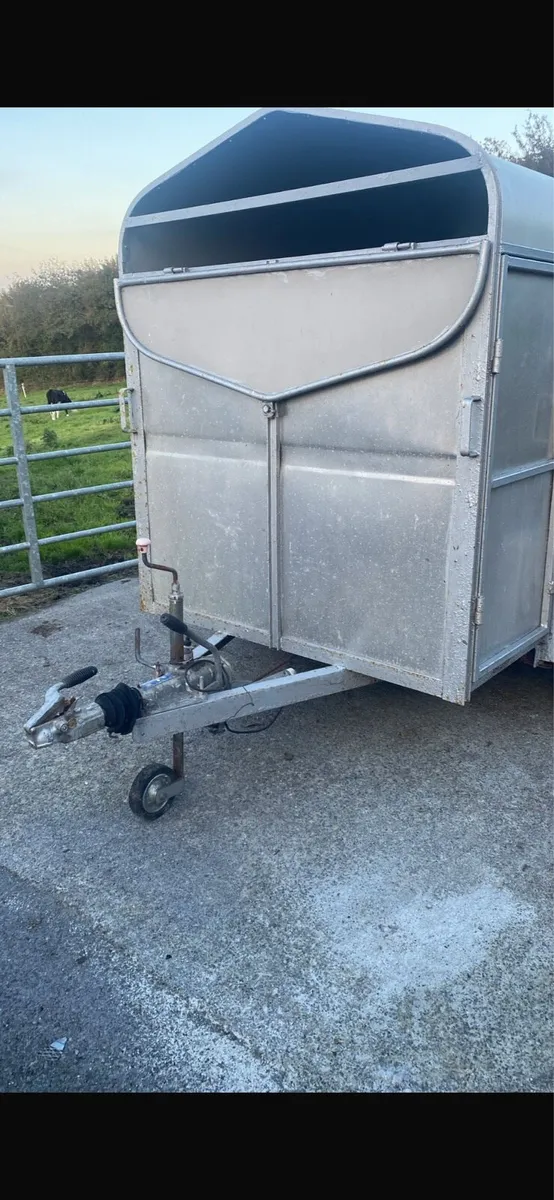 8x4 Cattle Trailer - Image 4