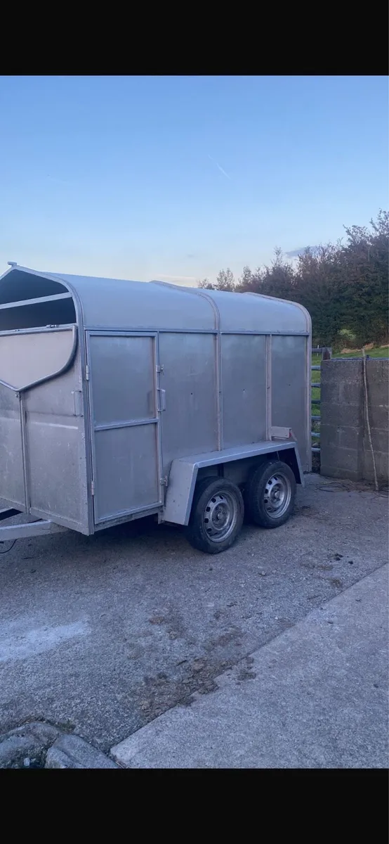 8x4 Cattle Trailer - Image 1