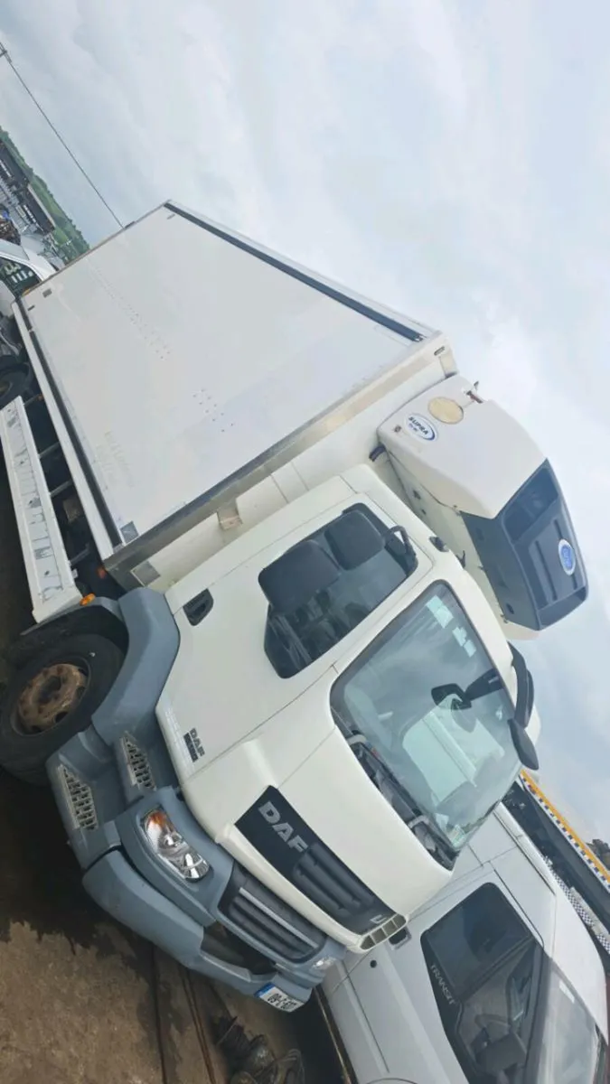 09 DAF - Image 1