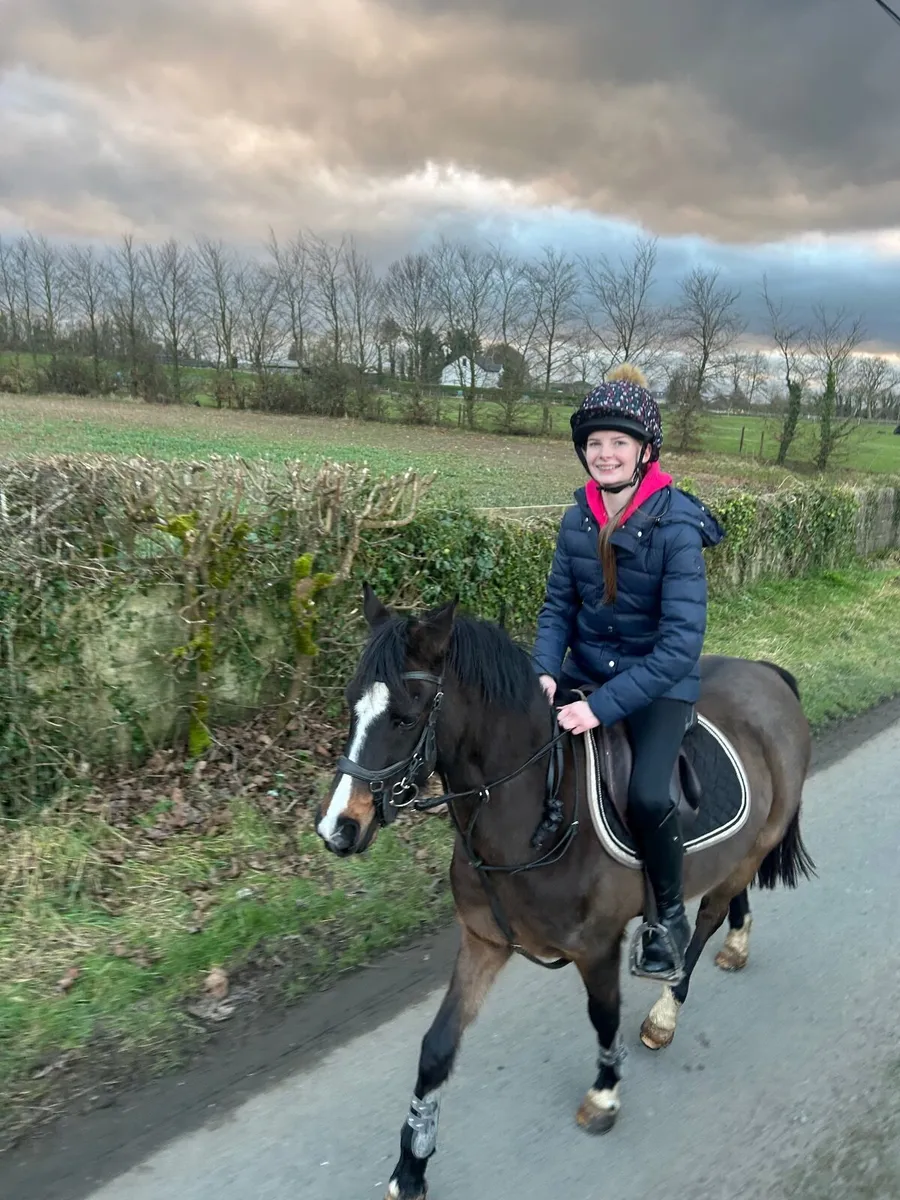 Pony 128cm - Image 4