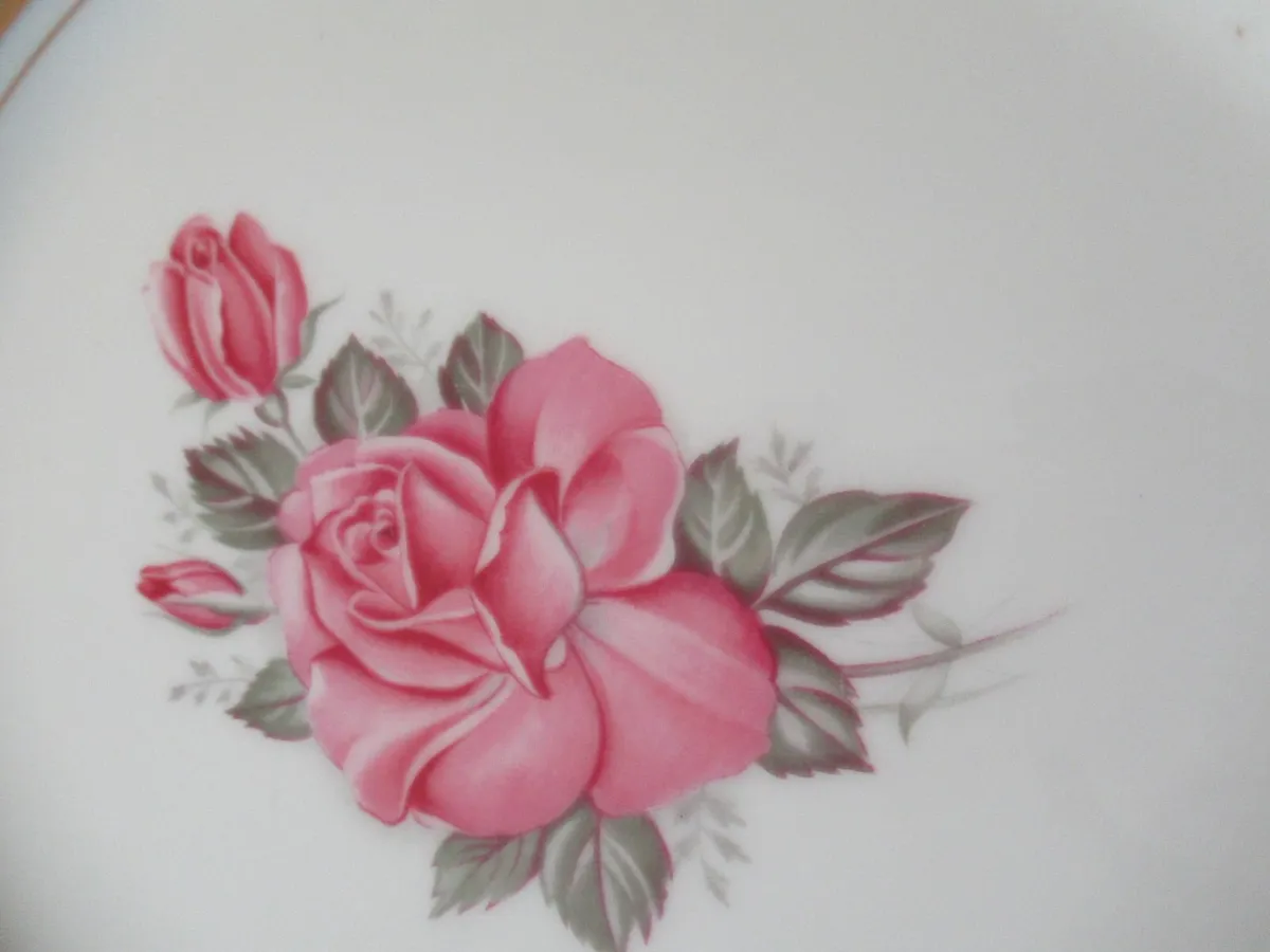 Antique Vintage MINTON china plates rose cottage - Image 4