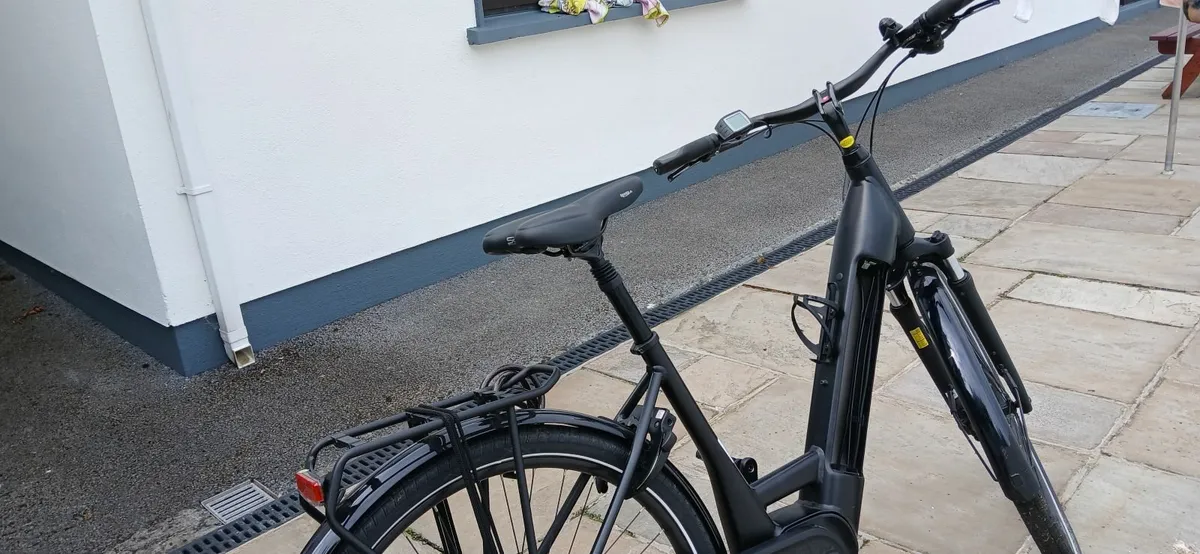 Ebike - Image 1