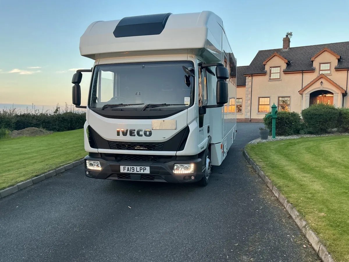 Iveco Horsebox - Image 4
